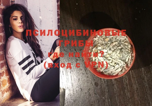 тгк Абаза