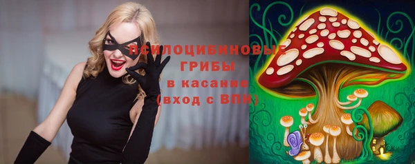 тгк Абаза