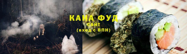 тгк Абаза