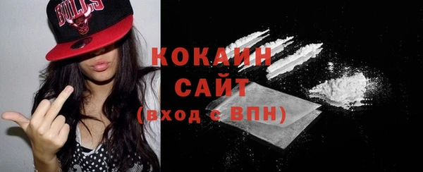 тгк Абаза