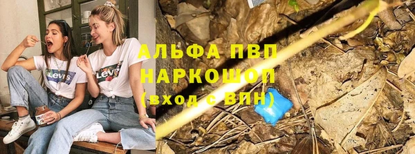 тгк Абаза