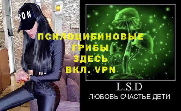тгк Абаза