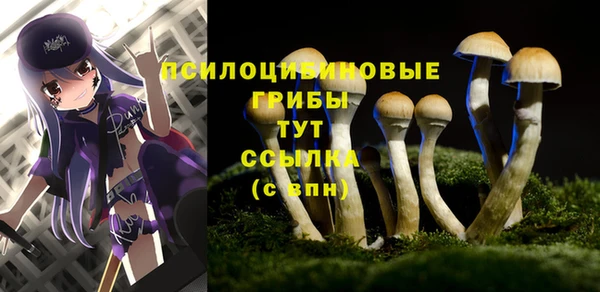 тгк Абаза