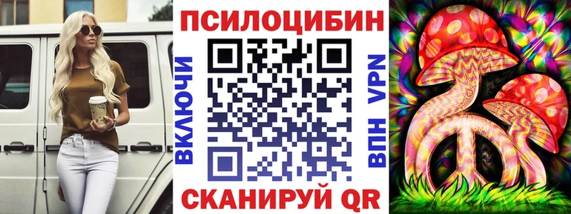 где можно купить наркотик  Чегем  Псилоцибиновые грибы мухоморы 