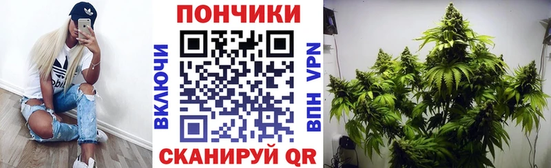 omg как войти  Чегем  Каннабис семена 